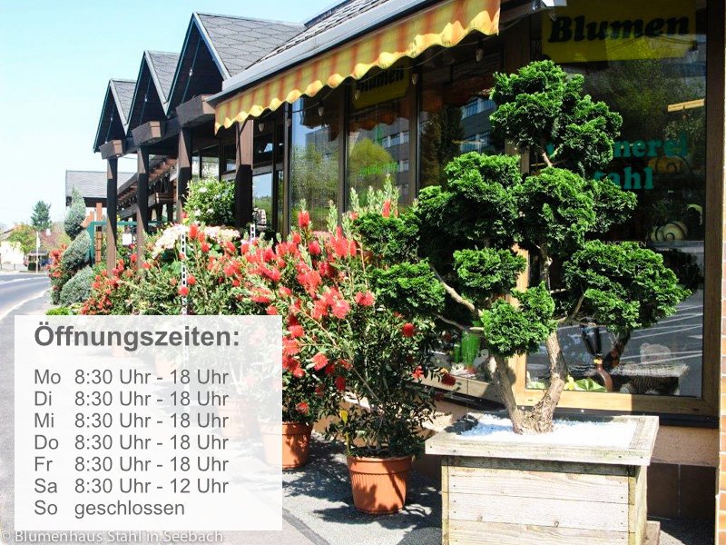 Blumenhaus-Stahl-Oeffnungszeiten Blumenhaus-Stahl-Oeffnungszeiten